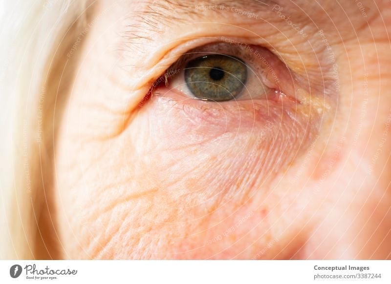 Porträt einer älteren kaukasischen Frau Augen Themen des Alterungsprozesses im Ruhestand 1 Mensch Erwachsener Lebensalter gealtert schön Schönheit