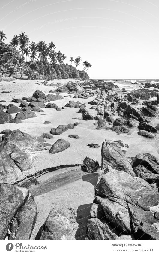 Schwarz-Weiß-Bild eines Felsstrandes, Sri Lanka. Strand schwarz auf weiß tropisch Sommer SCHWARZ-WEIß Felsen Sand Himmel Handfläche keine Menschen Landschaft