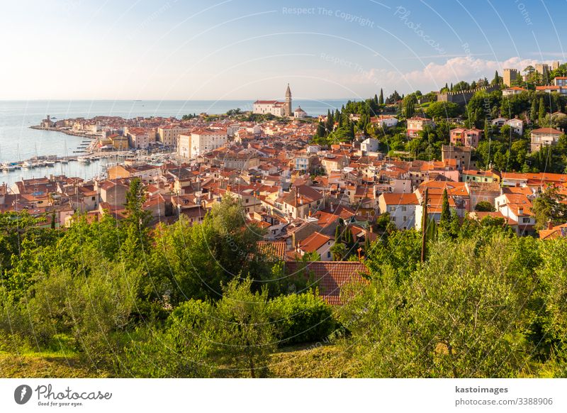 Panoramablick auf die Altstadt von Piran, Slowenien, Europa. Hintergrund des Sommerurlaubstourismus-Konzepts. MEER adriatisch Landschaft alt Tourismus Stadt