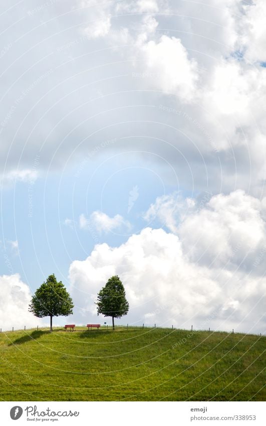 Pärchenfoto Umwelt Natur Landschaft Himmel Wolken Schönes Wetter Baum Wiese Feld natürlich grün Symmetrie Hügel paarweise 2 Farbfoto Außenaufnahme Menschenleer