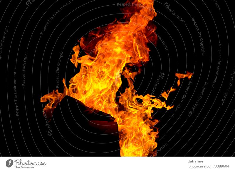 Rote Feuerflamme auf schwarzem Hintergrund Flamme lodernd Brandwunde Feuerstelle Natur Details Temperatur Gefahr erwärmen brennend rot gelb Licht explodierend