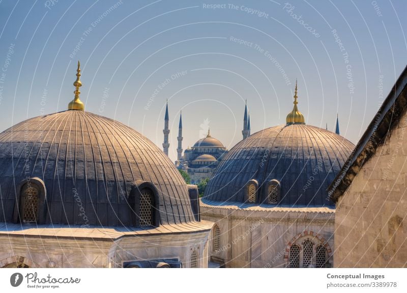 Hochansicht der Blauen Moschee, Istanbul, Türkei. Asien. Ahmed antik arabisch architektonisch Architektur blau Blaue Moschee blaue moschee istanbul Großstadt