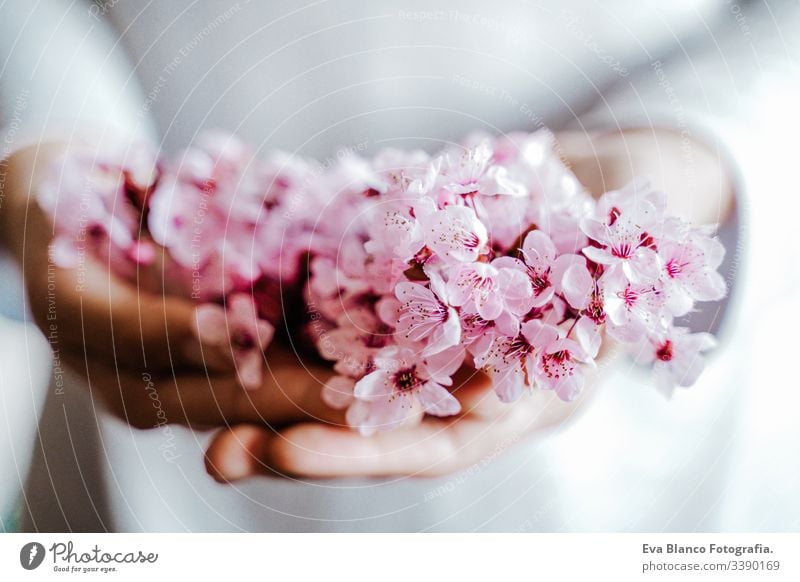 Unkenntliche Frau, die im Haus einen Strauß Mandelbaumblüten hält. rosa Blüte. Frühlingskonzept Hände Beteiligung unkenntlich Blumen Überstrahlung