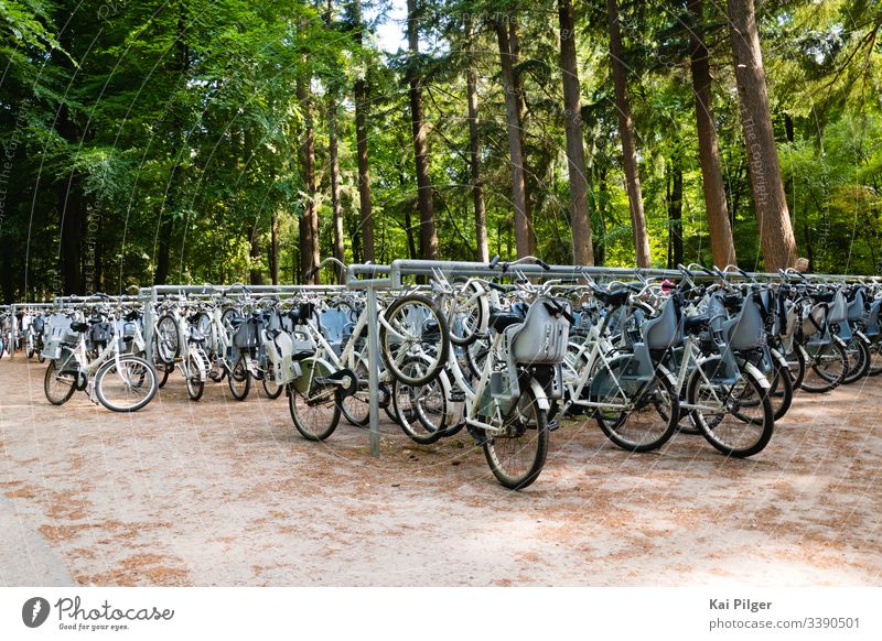 Dutzende von Fahrrädern sind im niederländischen Nationalpark De Hoge Veluwe geparkt aktiv Fahrrad Radfahren Zyklus Tag de hoge veluwe holländisch Europa Wald