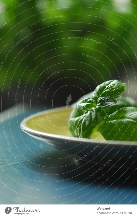Basilikum kochen slowfood Kräuter & Gewürze Vegetarische Ernährung Küche Lebensmittel Bioprodukte