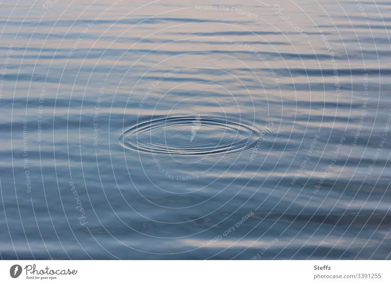 symmetrische Kreise und Wellen auf der ruhigen Wasseroberfläche Ruhe Symmetrie tröstlich ruhiges Wasser Windstille blau Achtsamkeit wellig See Wasserspiegelung