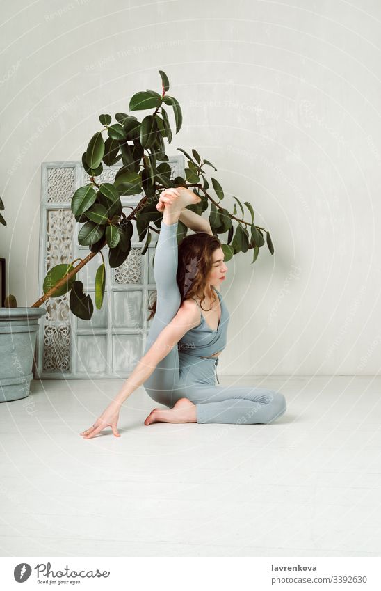 Junge Yogini übt Yoga und macht Krounchasana-Pose in einem Raum mit einem Baum und weißen Wänden aktiv Asana Athlet sportlich attraktiv Körper brünett