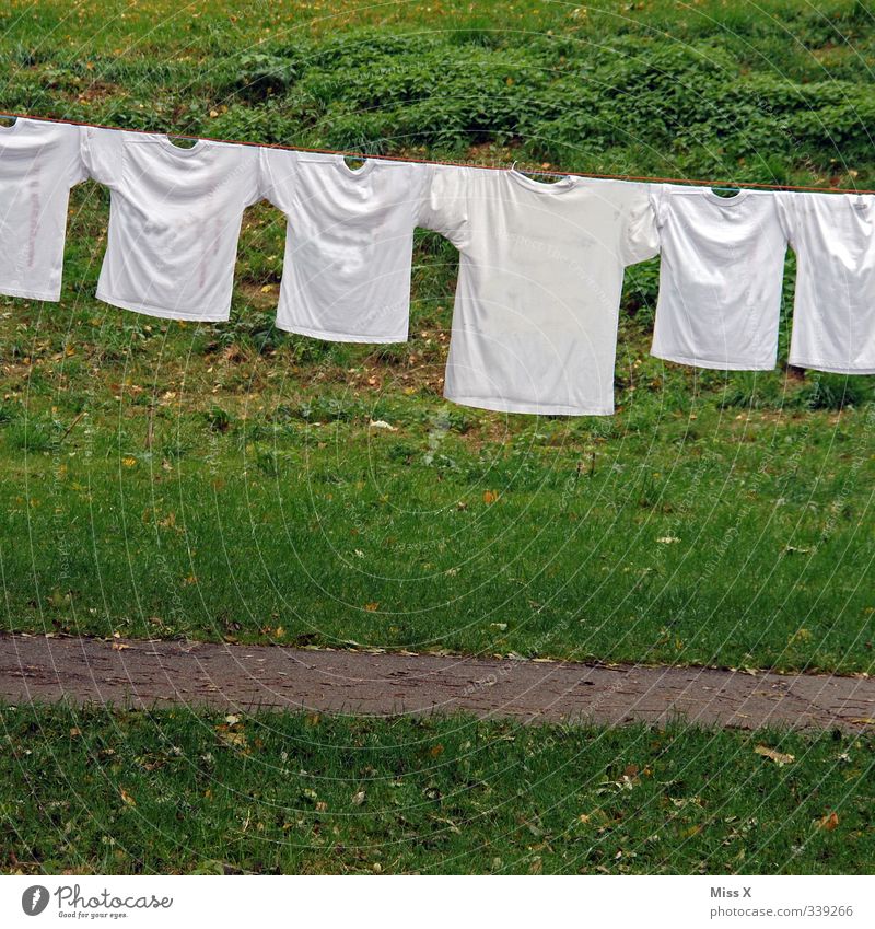 Waschtag Familie & Verwandtschaft Leben Garten Bekleidung Arbeitsbekleidung T-Shirt frisch trocken weiß Gefühle Stimmung Ordnungsliebe Reinlichkeit Sauberkeit