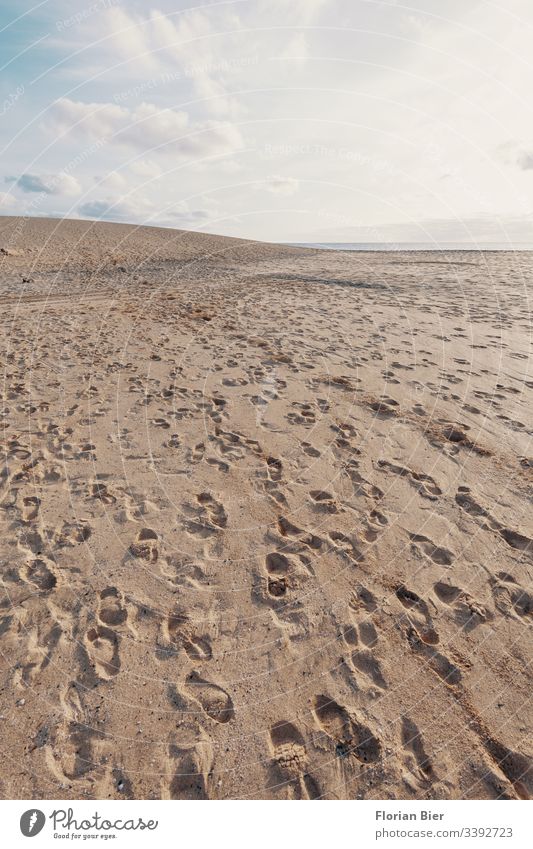 Fußspuhtren auf einer Sanddüne Fußspur Fußgänger Strand Düne Horizont Himmel Wolken Menschen Abdruck Schuhe hinterlassen Spaziergang Spuren Barfuß Einsamkeit