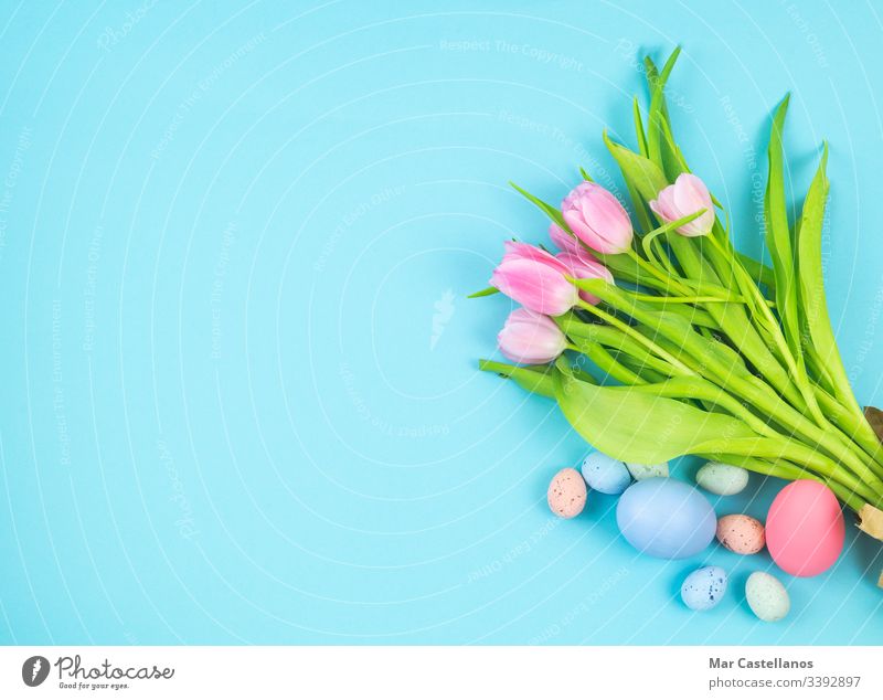 Blumenstrauß aus Tulpen und Ostereiern auf blauem Hintergrund Kopierfläche. Raum links Draufsicht Frau Frauentag Muttertag Valentinstag Frühling Valentinsgruß