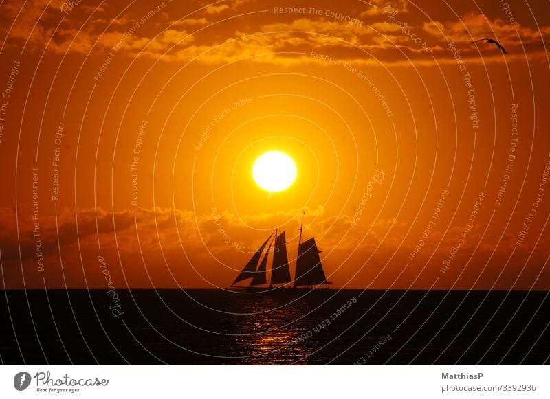 Sonnenuntergang mit Segelboot Landschaft Erde Sonnenlicht Stein leuchten ästhetisch außergewöhnlich schön Außenaufnahme Textfreiraum unten Sonnenstrahlen