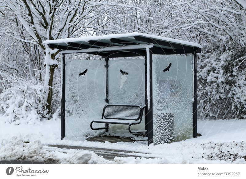 Bushaltestelle an einem verschneiten Wintertag Schnee kalt Verkehr stoppen Wetter Zeichen Tag Frost Transport gefroren im Freien Straße Saison reisen