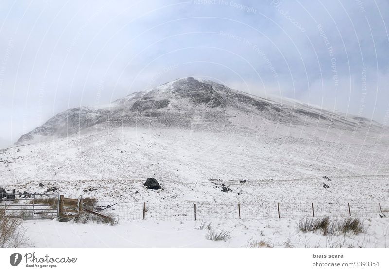 Schottische schneebedeckte Berglandschaft. Cairngorms-Nationalpark, Schottland. Schnee Natur Winter Berge u. Gebirge Winter-Ansicht weiß kalte Witterung wild