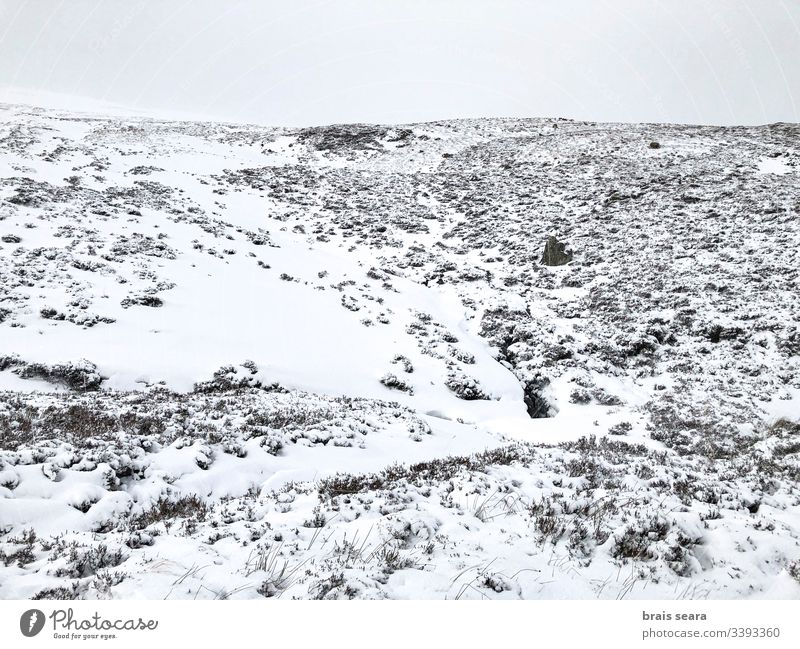 Schottische schneebedeckte Berglandschaft. Cairngorms-Nationalpark, Schottland. Schnee Natur Winter Berge u. Gebirge Winter-Ansicht weiß kalte Witterung wild