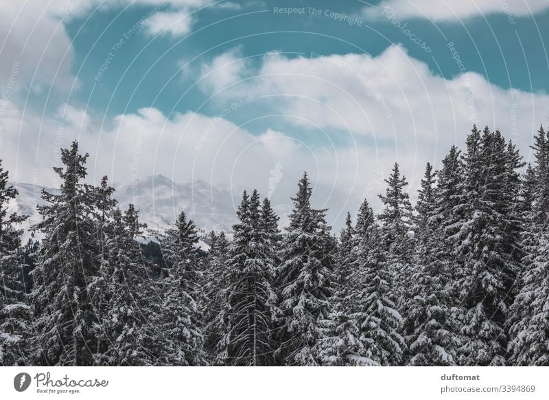 Schneebedeckte Tannen vor Alpenpanorama Panorama Berge Skifahren Tal kalt Gebirge Winter Landschaft Ferien Urlaub Skipiste Himmel frisch Winterurlaub Aussicht