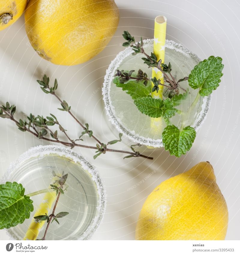 zwei Gläser Zitronenlimonade mit Thymian, Zitronenmelisse und Zuckerrand Bioprodukte Vitaminwasser Aromawasser frisch aufgiessen Glas Erfrischungsgetränk