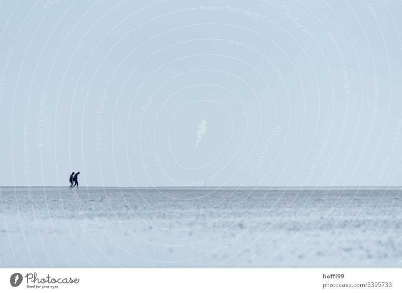zwei Menschen im Wattenmeer - Wattwandern Seeufer Nationalpark Wolkenloser Himmel Menschengruppe Morgendämmerung Nordsee Schönes Wetter Sommer Strand Küste