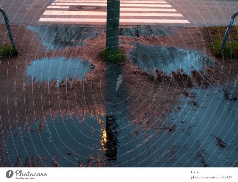 Regenpfützen und Zebrastreifen Fußgängerübergang Straßenbeleuchtung Matsch Regenwetter Schlechtes Wetter Außenaufnahme Laterne schlechtes Wetter Stadt nass