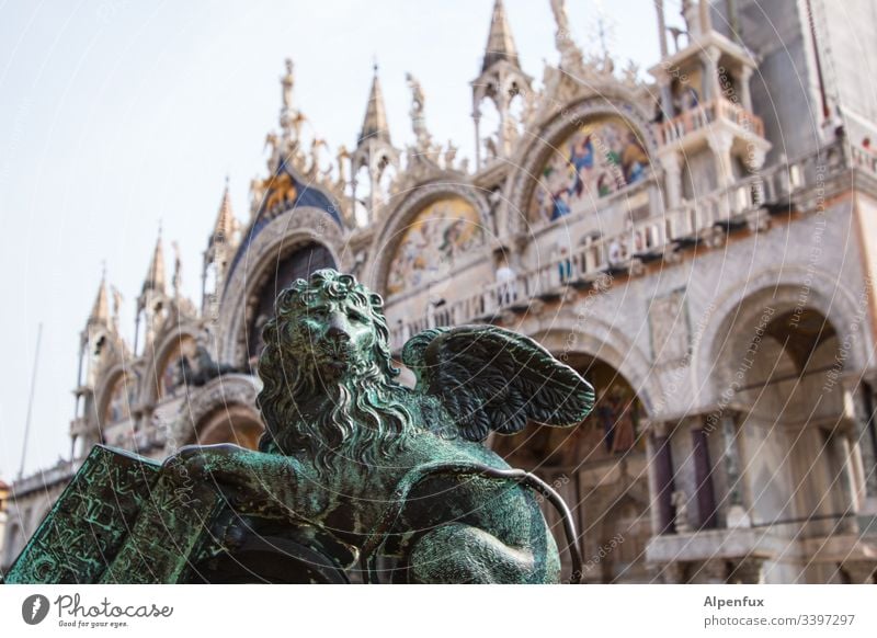 Grießgram Löwe Statue Markusplatz Venedig Farbfoto Außenaufnahme Italien Wahrzeichen Ferien & Urlaub & Reisen Sehenswürdigkeit Menschenleer Architektur Tag