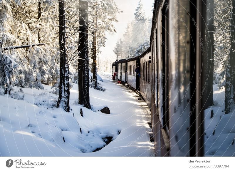 Mit dem Zug durch den winterlichen Harz Sympathie Textfreiraum unten Außenaufnahme mehrfarbig Sachsen-Anhalt Farbfoto Menschenleer Textfreiraum rechts Brocken
