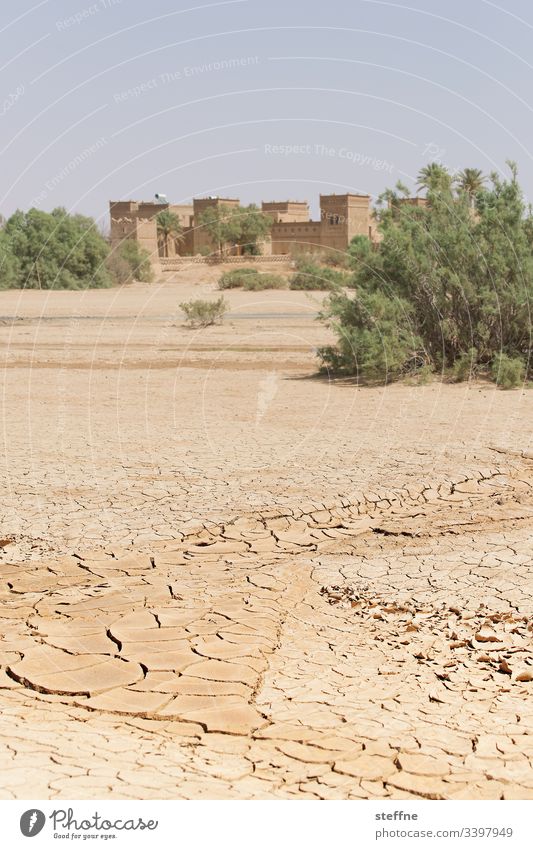 ausgetrockneter Boden mit Oase im Hintergrund Wüste Trockenheit Dürre Klimawandel Marokko wassermangel