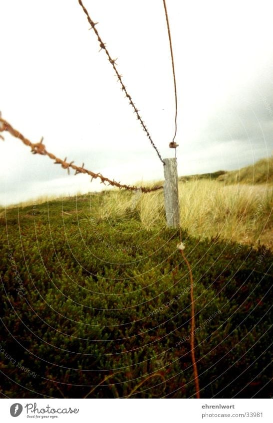 Stacheldrahtzaun Zaun Sylt Ferien & Urlaub & Reisen Umweltschutz Einsamkeit Wolken grau Ferne Stranddüne Rost