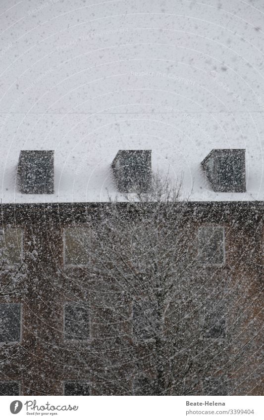 Weißes Hausdach bei starkem Schneefall Gaubenfenster Baum verschneit Schneeflocken Außenaufnahme winterlich Wintertag eingeschränkte Sicht trüb kalt