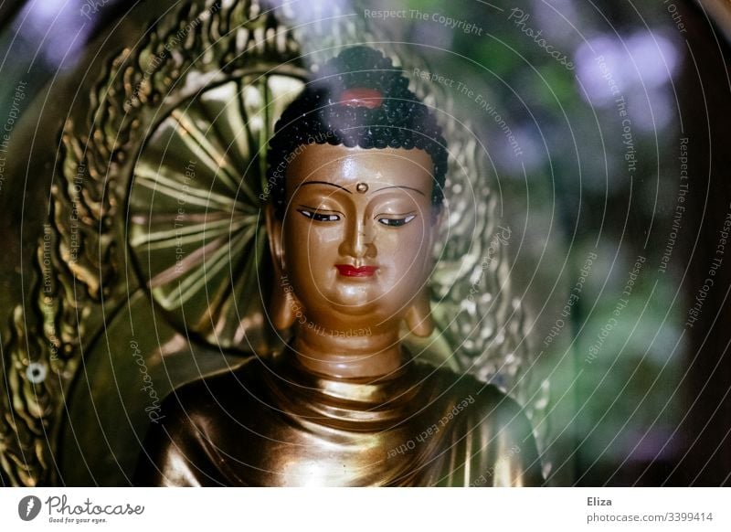 Prunkvolle, schöne, bunte Buddha Figur mit viel Gold buddhismus Religion & Glaube Buddhismus Buddha Statue Meditation Yoga Zen Asien Kultur Farbfoto Kunst