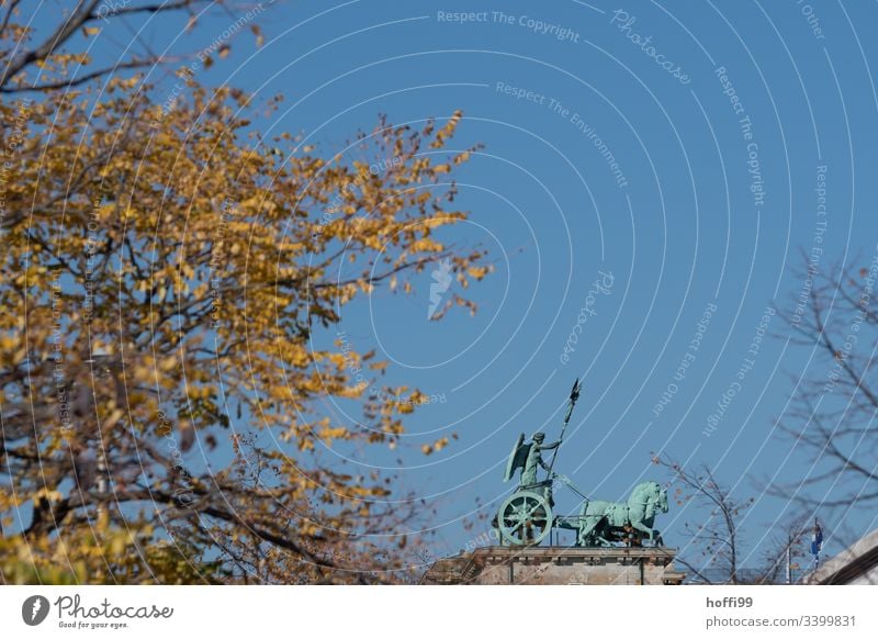 Quadriga Berlin von der Seite in herbstlicher Stimmung Denkmal Brandenburger Tor Wahrzeichen Hauptstadt Sehenswürdigkeit Architektur Außenaufnahme Menschenleer