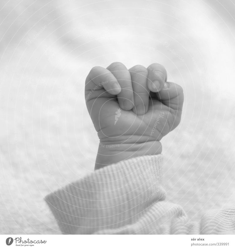 Tastsinn Mensch Baby Kindheit Leben Hand Finger 1 0-12 Monate Gefühle Glück Lebensfreude greifen festhalten Traumkind Nachkommen Mutterliebe schön babyhand