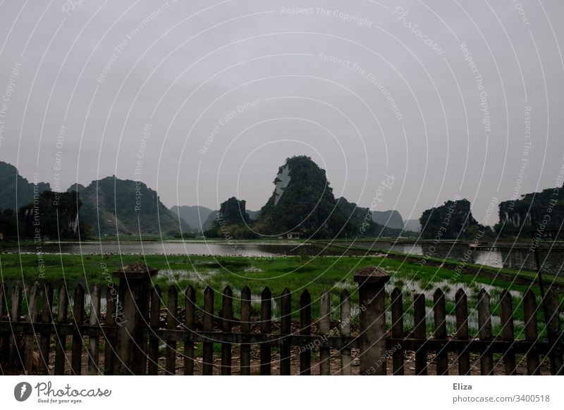 Kalksteinfelsen in Ninh Binh in Vietnam grün Landschaft Natur grau bewölkt mystisch Asien