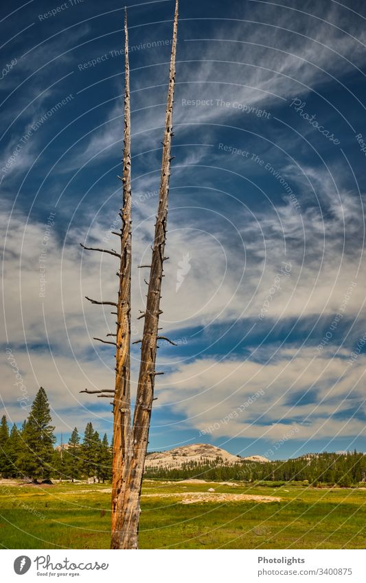 Tioga Pass - Yosemite NP Außenaufnahme Berge u. Gebirge blau Schönes Wetter Himmel Farbe Klettern Natur Farbfoto USA Inspiration einzigartig Idylle Identität