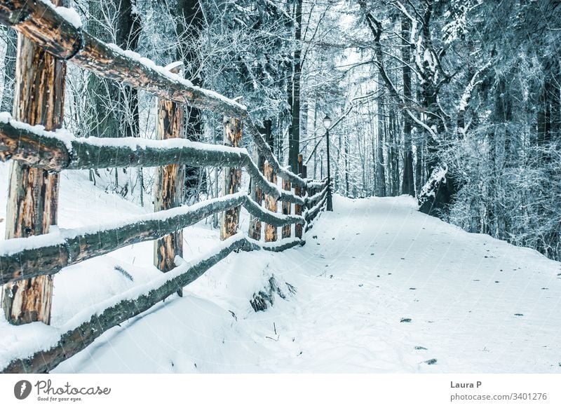 Pfad im Park im Winter, mit Schnee bedeckt Weg Holz hölzern Zaun Wald Bäume Schönheit schön Baum kalt Natur Spaziergang Niemand leer sich[Akk] entspannen ruhig