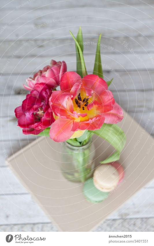 Frühlingserwachen Tulpe Pflanze Blatt Blüte Blume Blumenstrauß Vase Macarons Innenaufnahme Farbfoto grün Blühend Tag rosa Natur rot Dekoration & Verzierung
