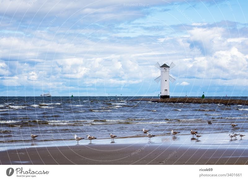 Pier an der Ostseeküste in Swinemünde, Polen Leberfleck Leuchtturm Möwe Windmühle Turm Usedom Küste swinoujscie Meer Wahrzeichen Urlaub Wasser blau Himmel Mühle