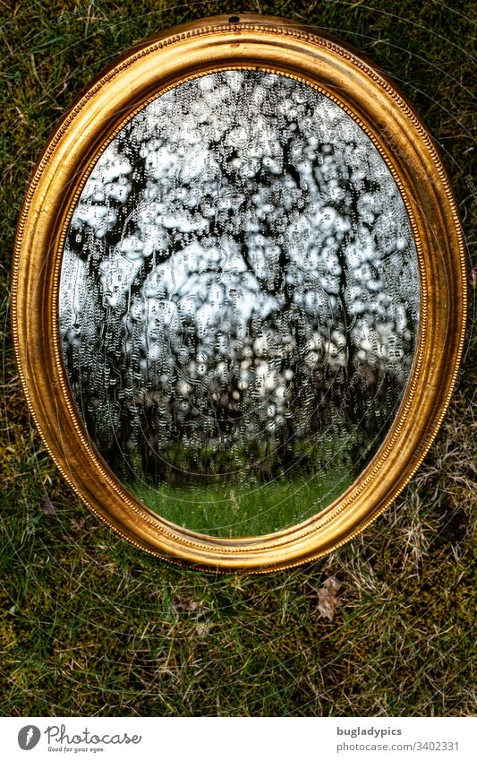 Goldener Spiegel liegt auf Untergrund aus Moos. Wassertropfen laufen über den Spiegel. Es spiegelt sich eine knorrige Hecke. Spiegelbild Spiegelung Reflektion