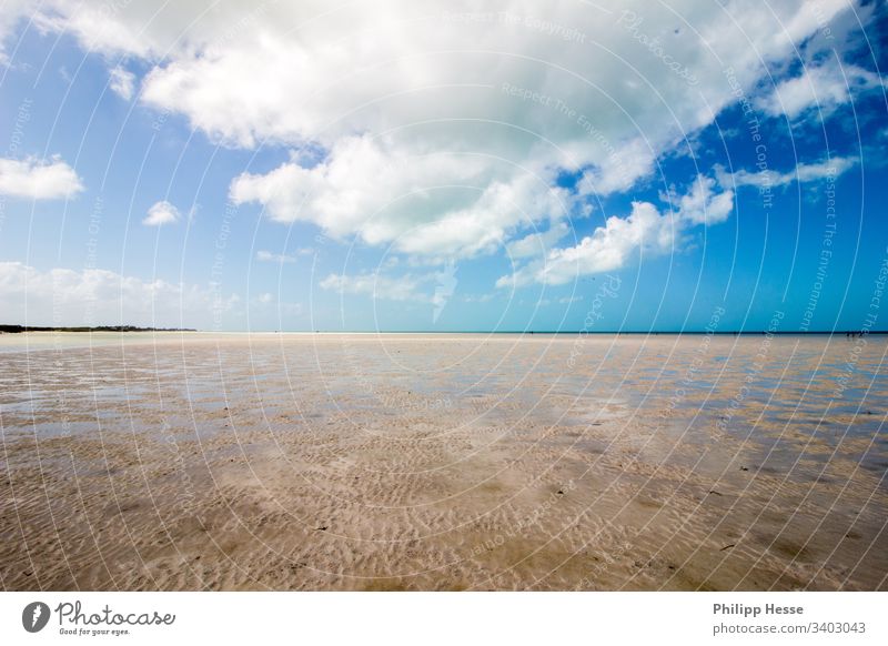 Strand und flaches Wasser Holbox Mexiko Yucatan Feiertag Sommer Ferien & Urlaub & Reisen Karibik