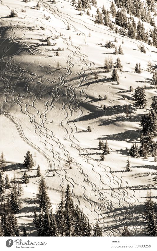 Gewellte Skispuren im frischen Schnee durch frisch verschneite Landschaft. Winter Skifahren Spuren gewellt Neuschneefahren Winterzauber traumhaft Wintersport