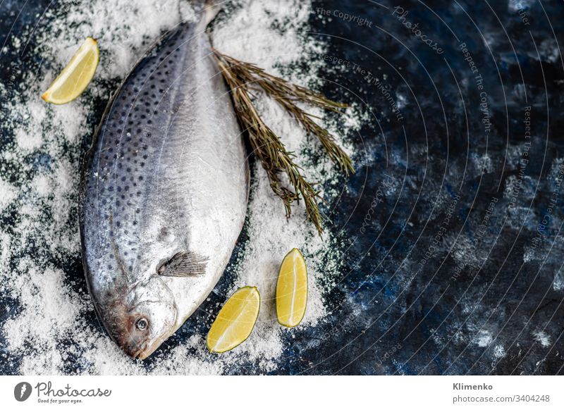 Schmackhafter frischer Fisch auf dunklem Hintergrund. Gefrorenes Produkt. Fisch mit aromatischen Kräutern, Gewürzen und Gemüse - das Konzept einer gesunden Ernährung, Diät oder Kochen.