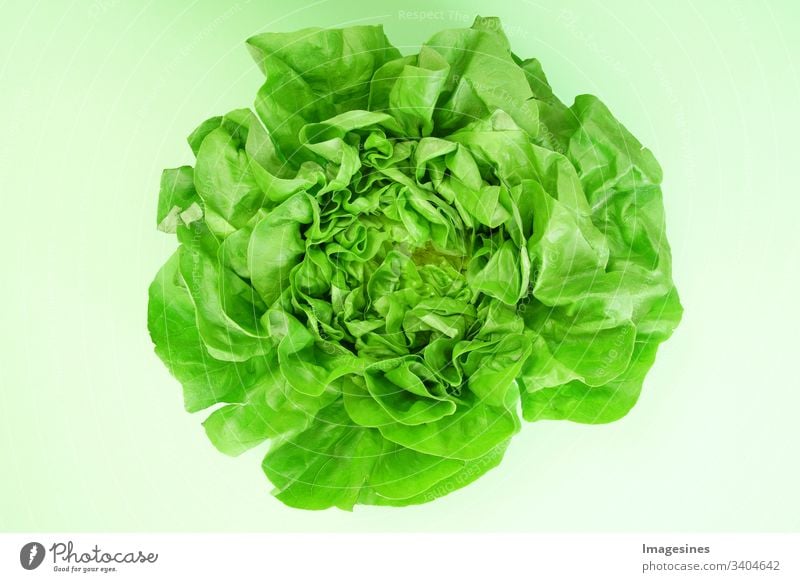 Grüner Kopfsalat - grüner Hintergrund. Kopfsalat für Salat. cut out Frisch Blatt Essen keine Menschen gesunde Ernährung Gemüse Essen und Trinken Bio Rohkost