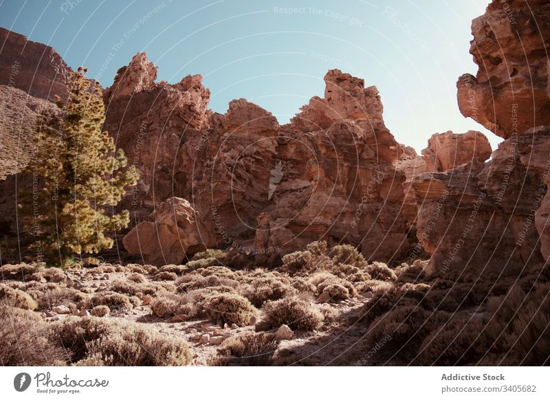 Bunte Felsen in einem verlassenen Gebiet an einem sonnigen Tag Klippe Pflanze Strauch Blauer Himmel wüst Natur Landschaft Stein malerisch reisen wild Abenteuer