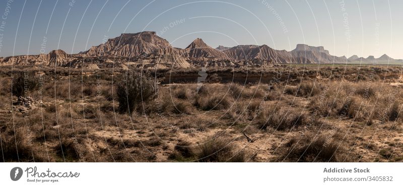 Trockenpflanzen, die in der Wüste wachsen wüst Gras trocknen Berge u. Gebirge Ödland Panorama sonnig tagsüber Natur Landschaft bardenas reales navarre Spanien