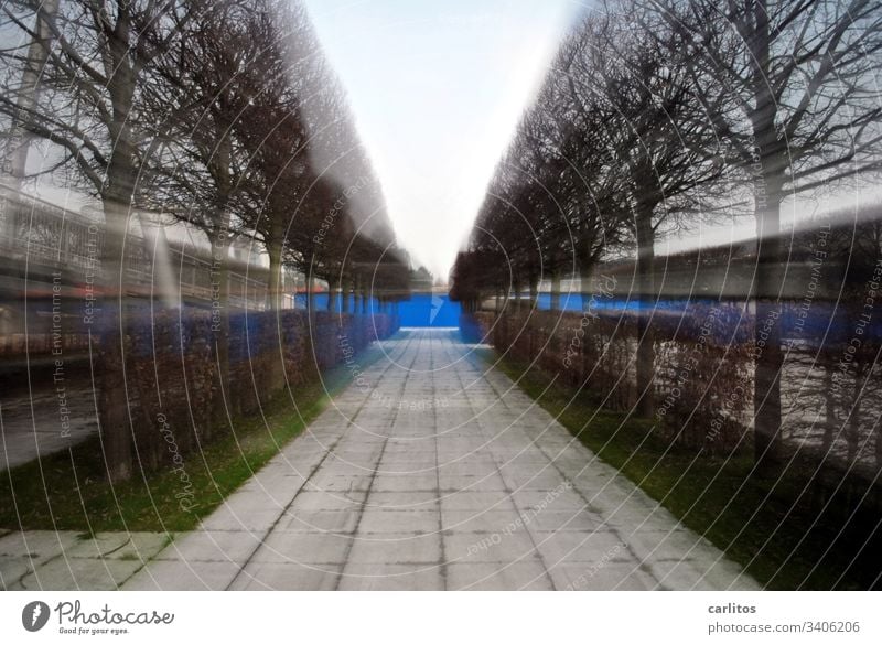 Sog |Allee im Zoomeffekt Bäume Hecken Platten Betonplatten Weg Wand blau Gras grün Zentralperspektive Fluchtpunkt Symmetrie Außenaufnahme Wege & Pfade