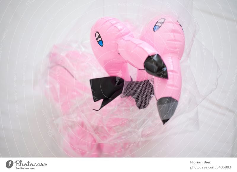 Aufblasbare Flamingos als Braut und Bräutigam mit Schleier und Fliege Hochzeit rosa gleichgeschlechtlich heiraten Geschenk Gummi Plastik aufblasbar Liebe