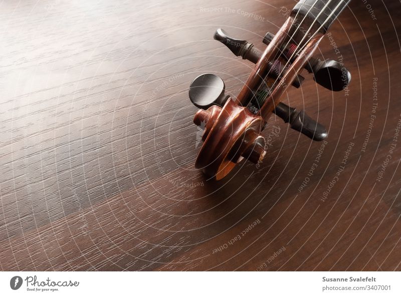 Geige oder Fiedelkopf auf dem Tisch Musik Farbfoto herumfuchteln Kopfleiste Stimmwirbel Musikinstrument Streichinstrumente Holz