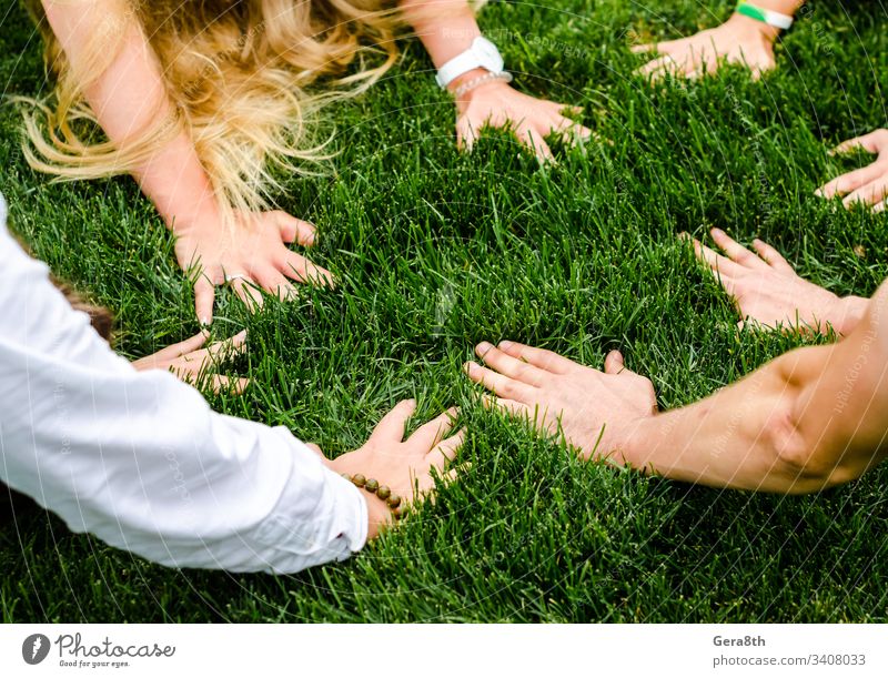 Hände von Menschen nebeneinander auf grünem Gras hell schließen Tag Feld Finger grünes Gras Gruppe von Personen Behaarung Hand Rasen Glied Wiese natürlich Natur