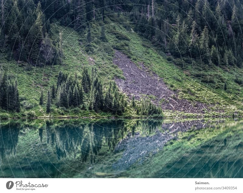 Spiegelwald Landschaft bergsee Wald Nadelwald Bäume Wiese Berghang Geröll Spiegelung Natur Farbfoto Idylle idyllisch Schönheit See Wasser