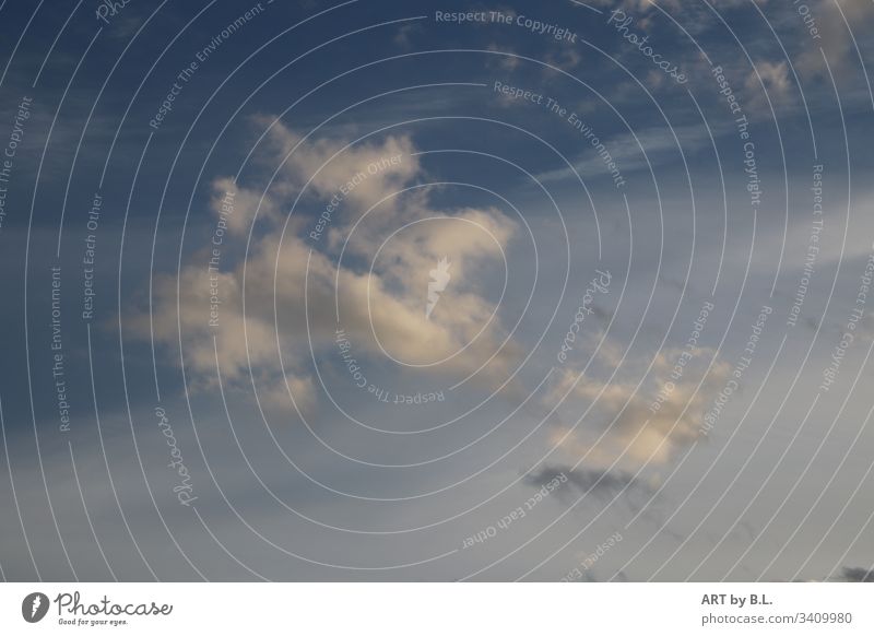 Himmel am Nachmittag in Niedersachsen himmel wolken Blauer Himmel Landschaft Natur Außenaufnahme Menschenleer Farbfoto Tag wolkenmeer wolkenformation wölkchen