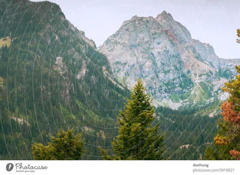 Berghang im Herbst Berge u. Gebirge Wiese Baum Schönes Wetter blau grün ruhig Himmel Sommer Natur Landschaft Idylle Farbfoto Außenaufnahme Menschenleer