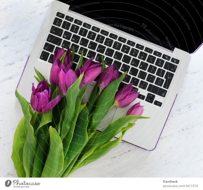 Computer mit einem Strauß violetter Tulpen Laptop Hintergrund Frühling weiß Design Business Büro Schreibtisch Raum Arbeit Blumenstrauß Tisch natürlich nach oben